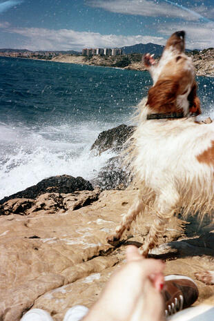 Kodak Gold 200- Olympus mju-ii