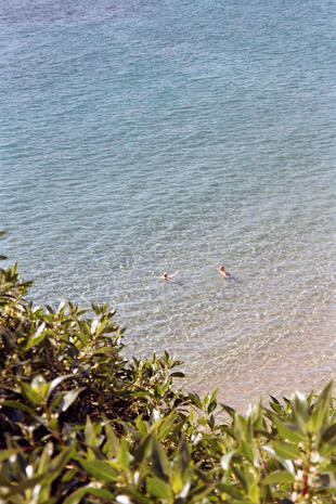 Benidorm, Kodak Gold 200- Olympus mju-ii