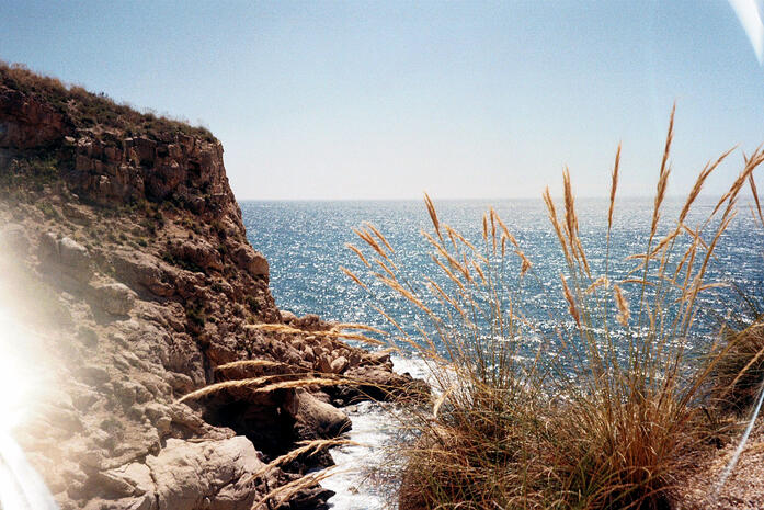 Kodak Gold 200- Olympus mju-ii